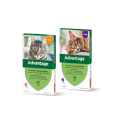 Advantage Plus Paris