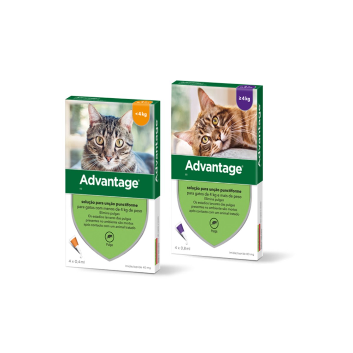 Advantage Plus Paris
